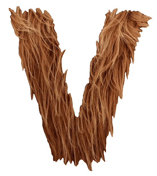 Vélus logo